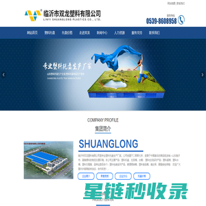 塑料托盘厂家_塑料托盘价格-临沂市双龙塑料有限公司